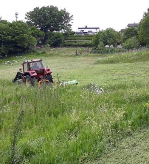Unsere_Arbeiten1